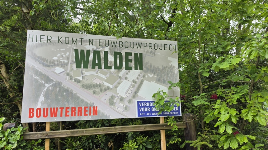 walden.jpeg